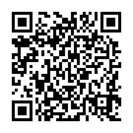 QR code for D4H 393