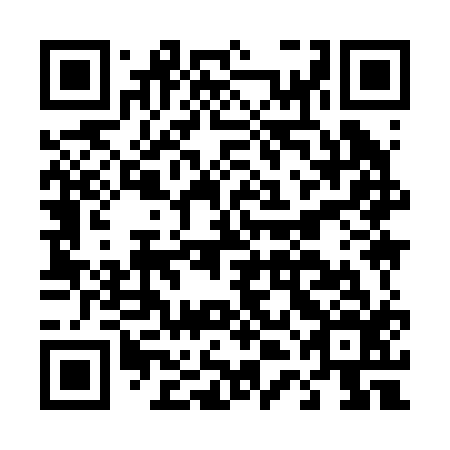 QR code for D4I 216