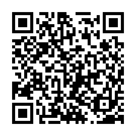 QR code for D4I 313