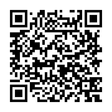 QR code for D4I 938