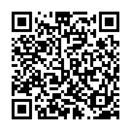 QR code for D4I333