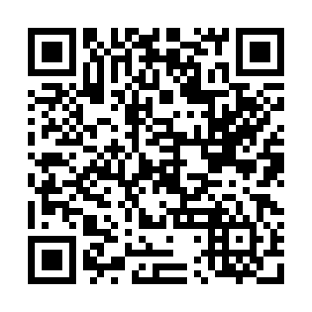 QR code for D4J 384