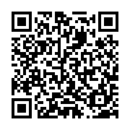 QR code for D4L 294
