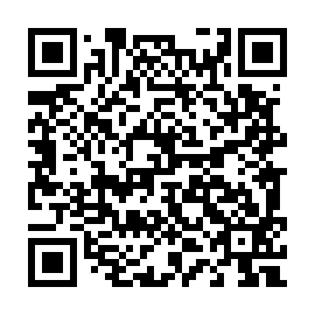QR code for D4L 593