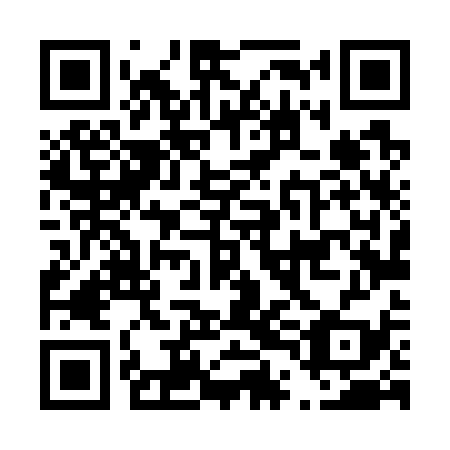 QR code for D4L 739