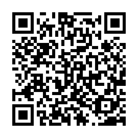 QR code for D4L 868