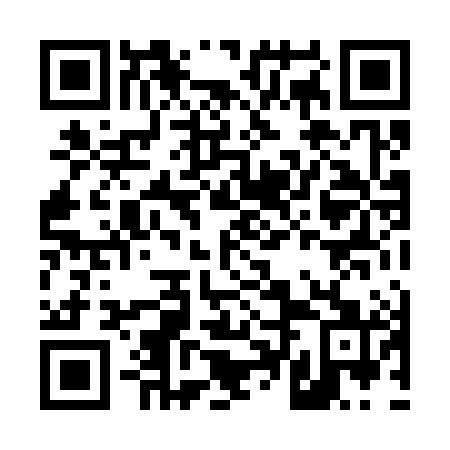 QR code for D4L381