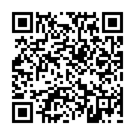 QR code for D4L385