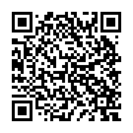 QR code for D4P 207