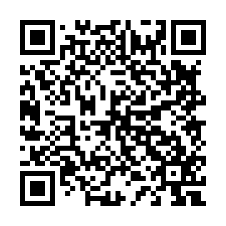 QR code for D4P 817