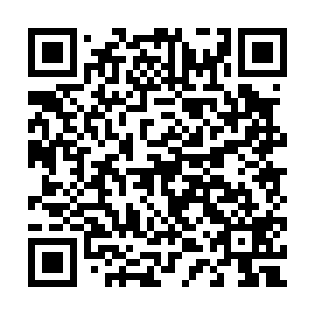 QR code for plate D4P 019