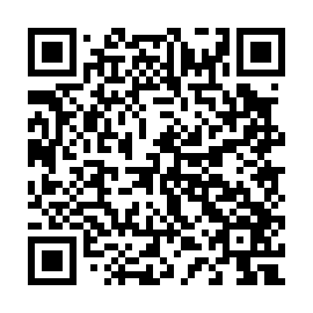 QR code for D4P046