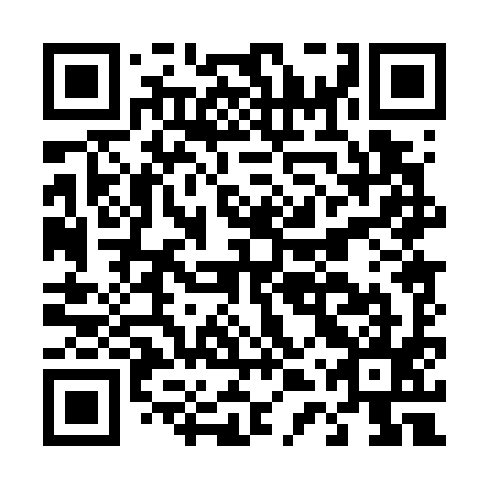 QR code for D4P795