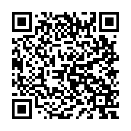 QR code for D4Q 163