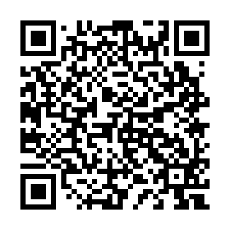QR code for D4Q 393