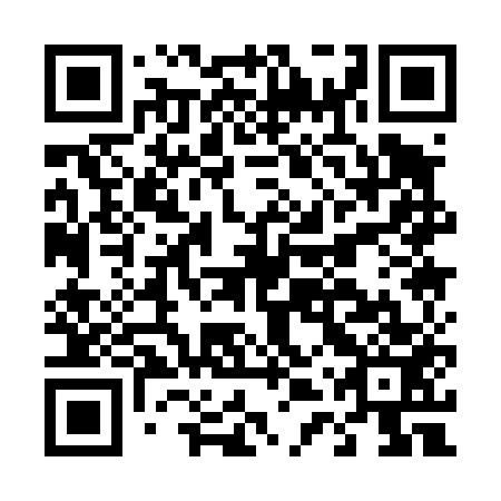 QR code for D4Q 453