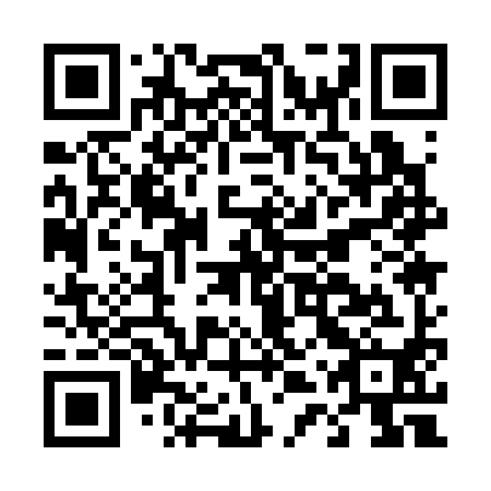 QR code for plate D4Q 390