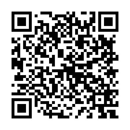 QR code for plate D4Q 869