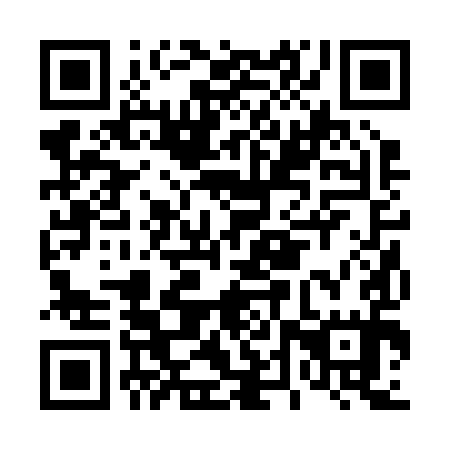 QR code for D4R 295