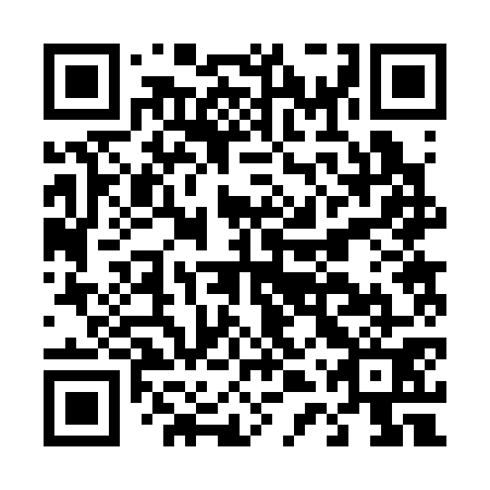 QR code for D4R 371