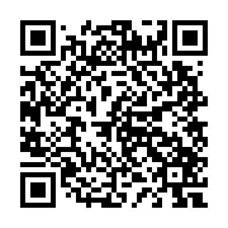 QR code for D4R 747