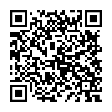 QR code for D4R 863