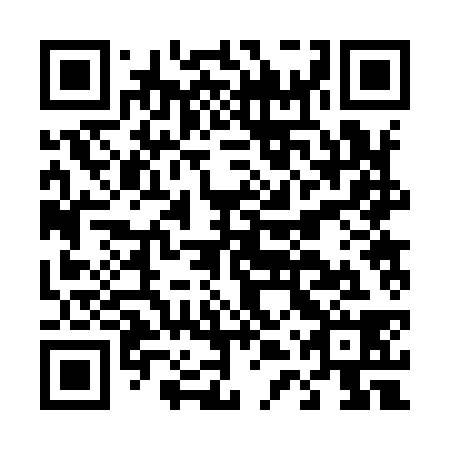 QR code for D4R 938