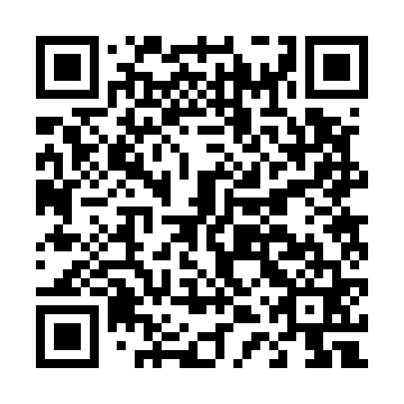 QR code for D4R561