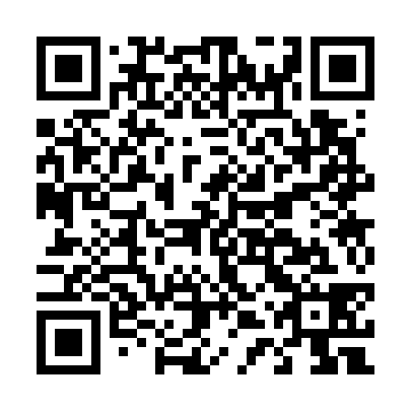QR code for D4S 738