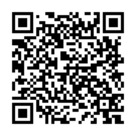 QR code for D4S 933