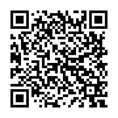 QR code for D4S 960