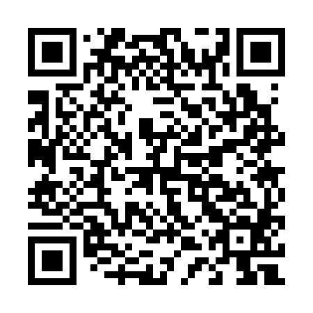 QR code for D4S384