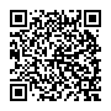 QR code for D4T 294