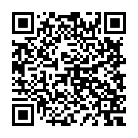 QR code for D4T 863