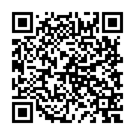 QR code for D4T 960