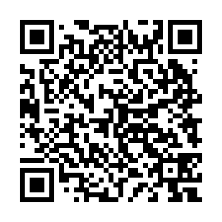 QR code for D4T238