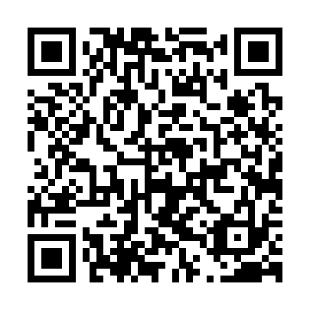 QR code for plate D4T 333