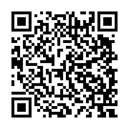QR code for D4T497