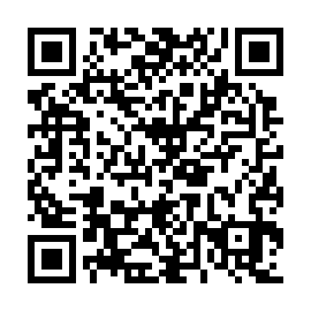 QR code for plate D4V 333