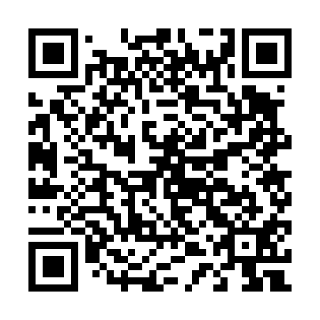 QR code for D4W 411