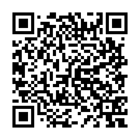 QR code for D4X 171