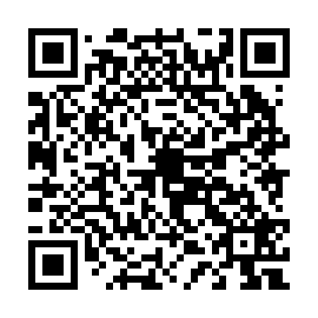 QR code for D4X 229