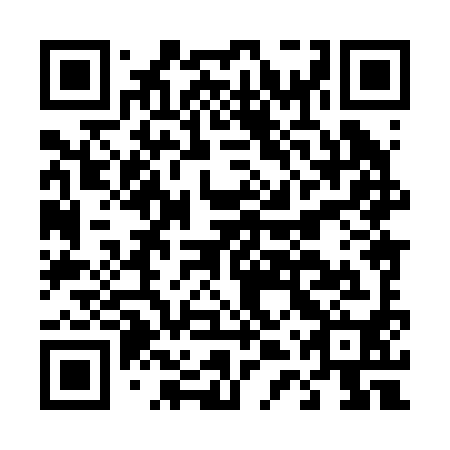 QR code for D4X 290