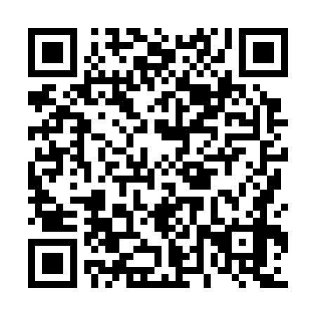 QR code for D4X 378