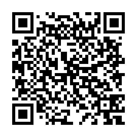 QR code for D4X 538