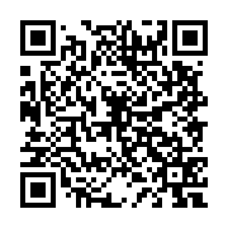 QR code for D4X 575