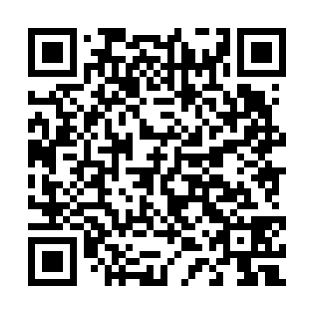QR code for D4X 638