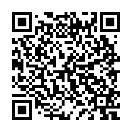 QR code for D4X301