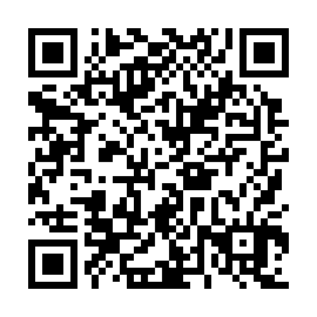 QR code for plate D4X 304