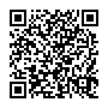 QR code for D4X347